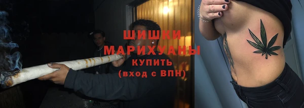 мяу мяу мука Елизово