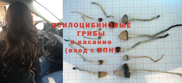 мяу мяу мука Елизово