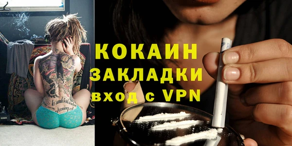 mix Ельня