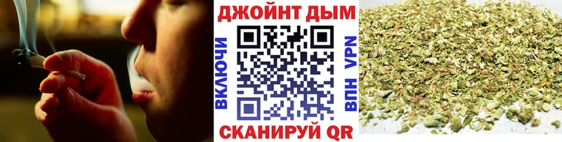 Канабис сатива Калачинск